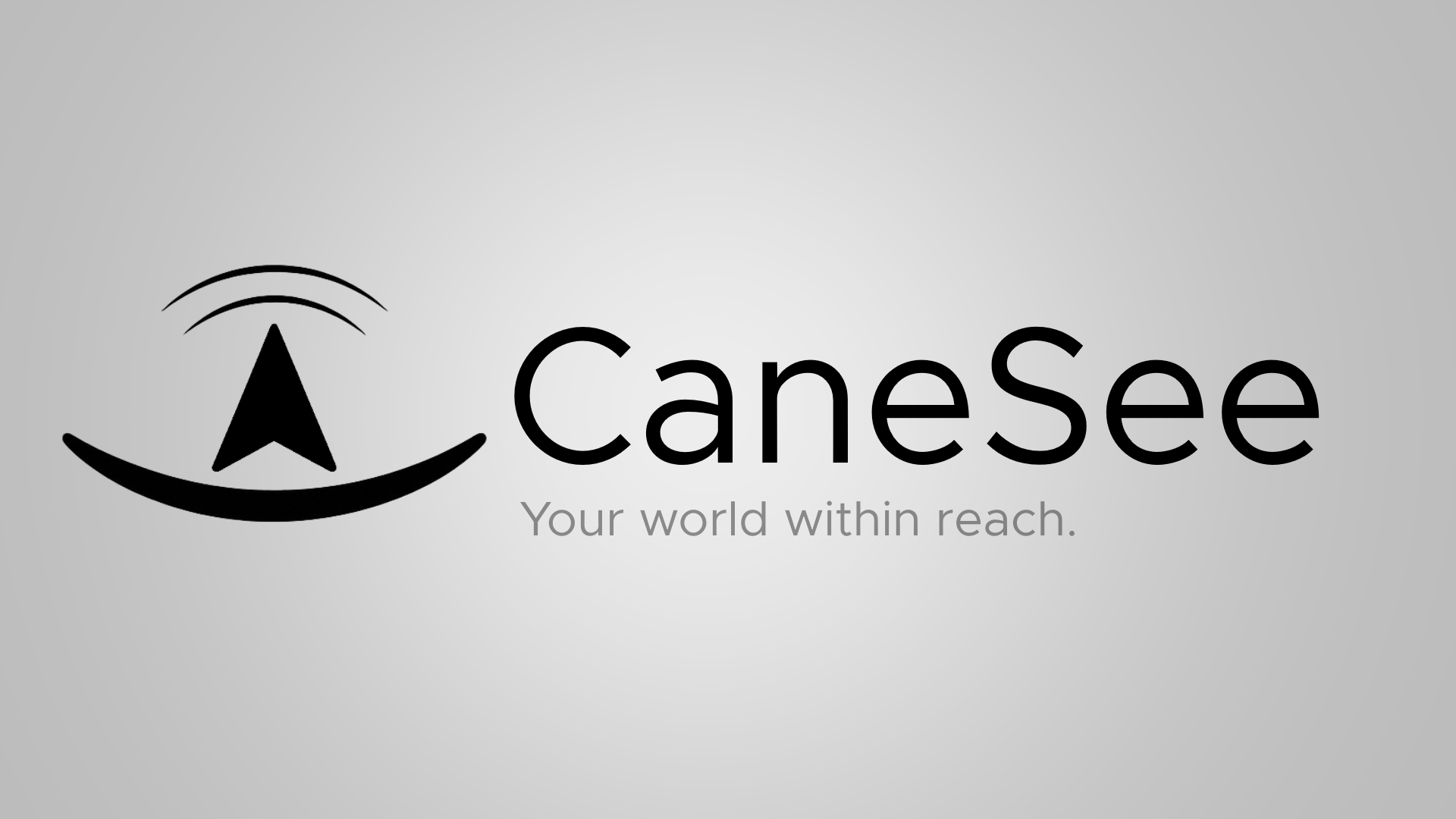 CaneSee